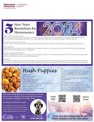 newsletters berkshire hathaway