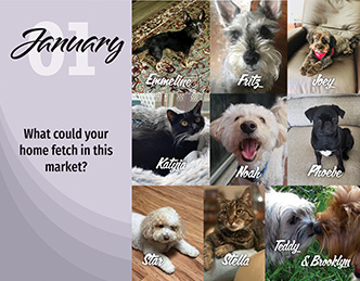 berkshire hathaway pet calendar